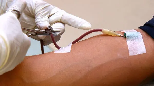 降血脂的菜排行榜第一名插图1