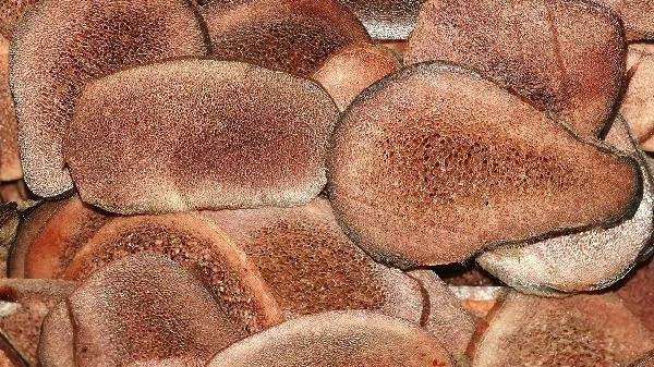 鹿茸可以泡水喝吗 鹿茸泡水喝的功效插图