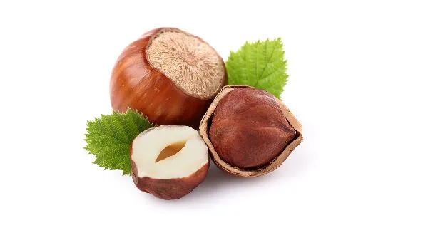 什么病不能吃夏威夷果插图1