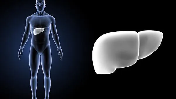 肝解毒吃什么菜对肝好插图2