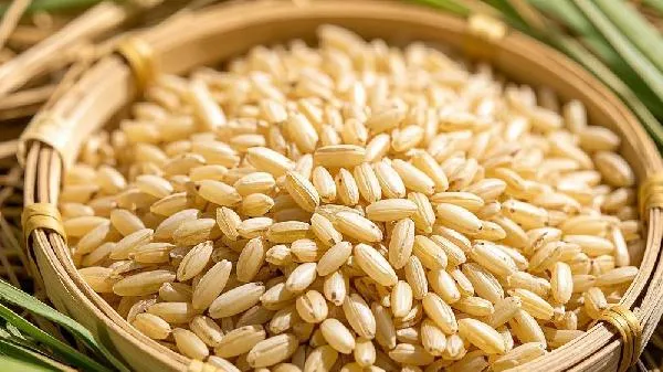 糙米直接蒸米饭可以吗插图1