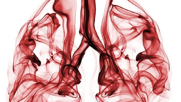 肺结节吃补肺丸的功能与主治插图