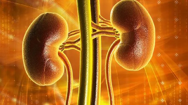 黑木耳怎么吃补肾效果好 黑木耳的做法插图