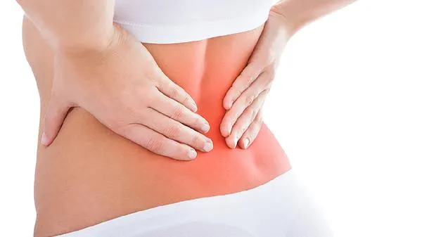 猪腰和猪肾是一样的吗插图2