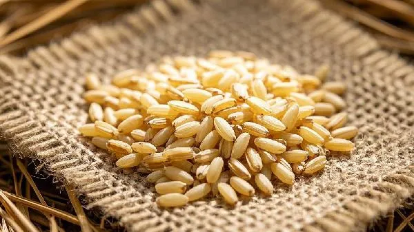 糙米直接蒸米饭可以吗插图