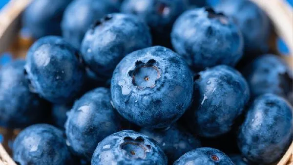 蓝莓怎么判断熟没熟插图2