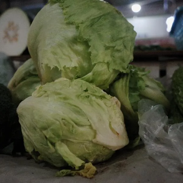 餐馆剩饭剩菜怎么处理插图