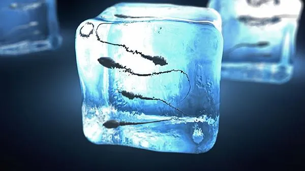 精子发黄结块是什么原因插图1