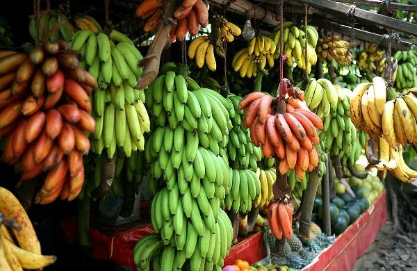 香蕉带皮蒸还是剥皮蒸插图