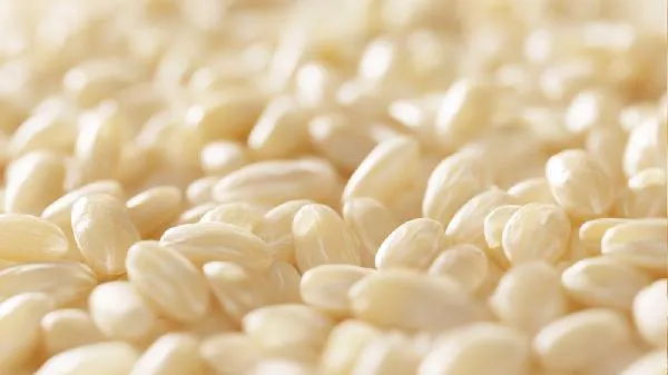 糯米肠灌不下去怎么回事插图