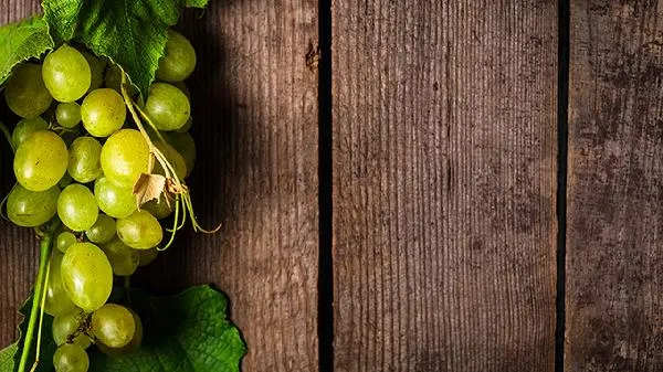 高脂肪高蛋白的食物是指哪些食物插图1