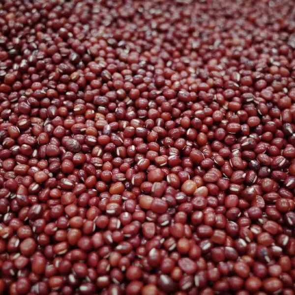 赤小豆和冬瓜皮煮水喝的作用是什么插图2