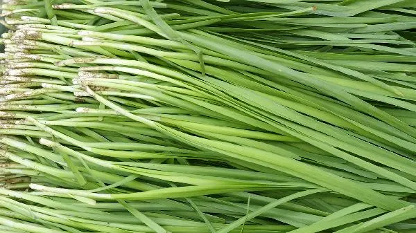 韭菜和小葱的哪个壮阳插图