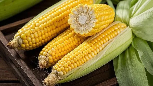 剥新鲜玉米有什么好方法插图