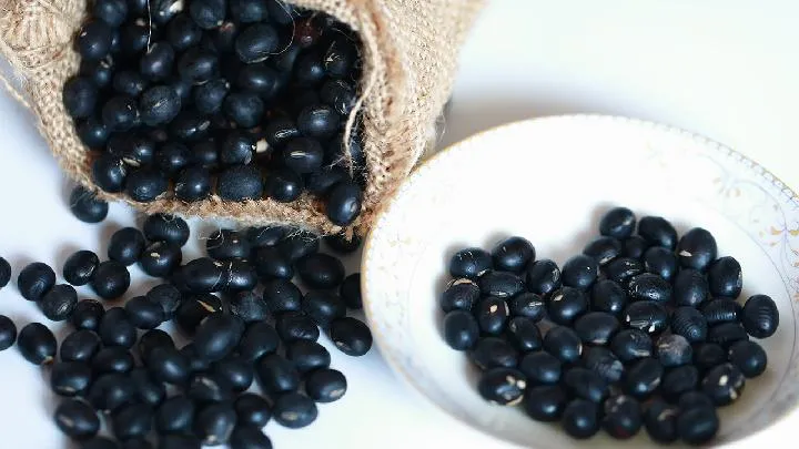 黑豆豉的功效与作用插图1