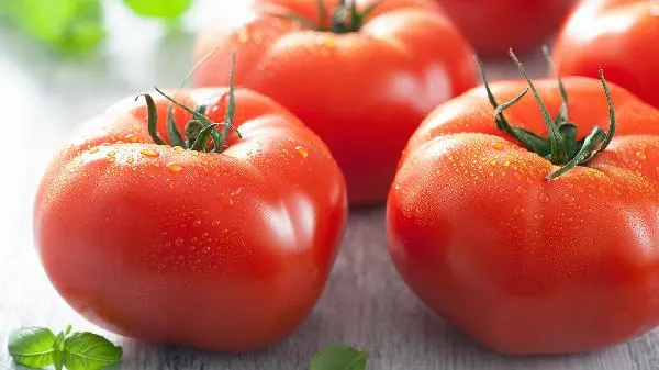 西红柿可以生吃不 西红柿是水果还是蔬菜插图