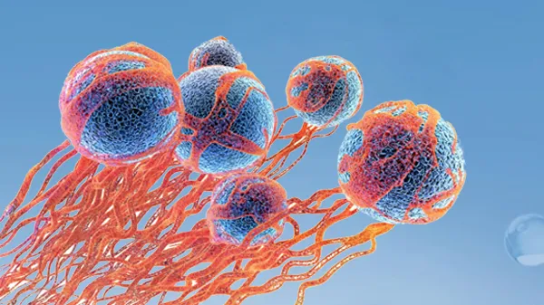 4种变态吃法 减少癌症发病率插图