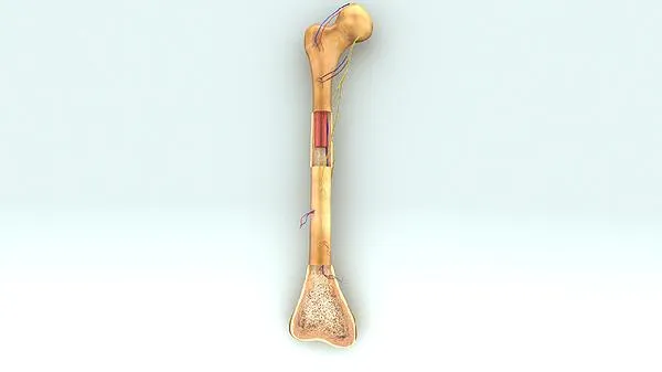 鸡爪怎样去骨又快又方便插图