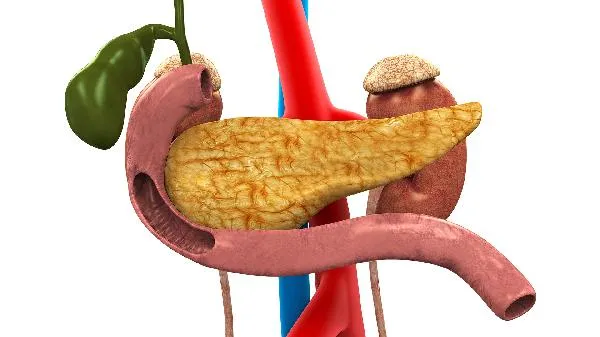 鸡心和猪心哪个胆固醇高插图