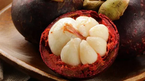 吃山竹上火还是降火插图