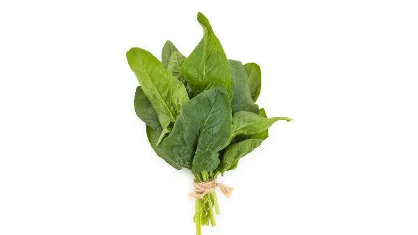 菠菜吃了长结石吗插图1