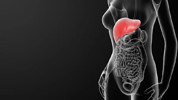 肝解毒吃什么菜对肝好插图1