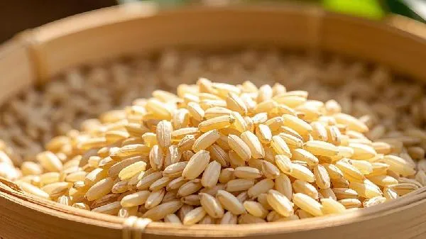 糙米直接蒸米饭可以吗插图2