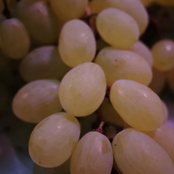 葡萄柚怎么剥出完整果肉插图2