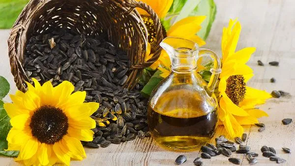 葵花籽杀精还是补精插图1